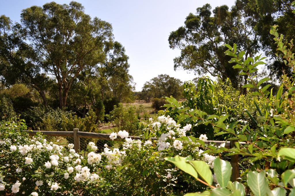 פרת'' Guildford River Retreat מראה חיצוני תמונה